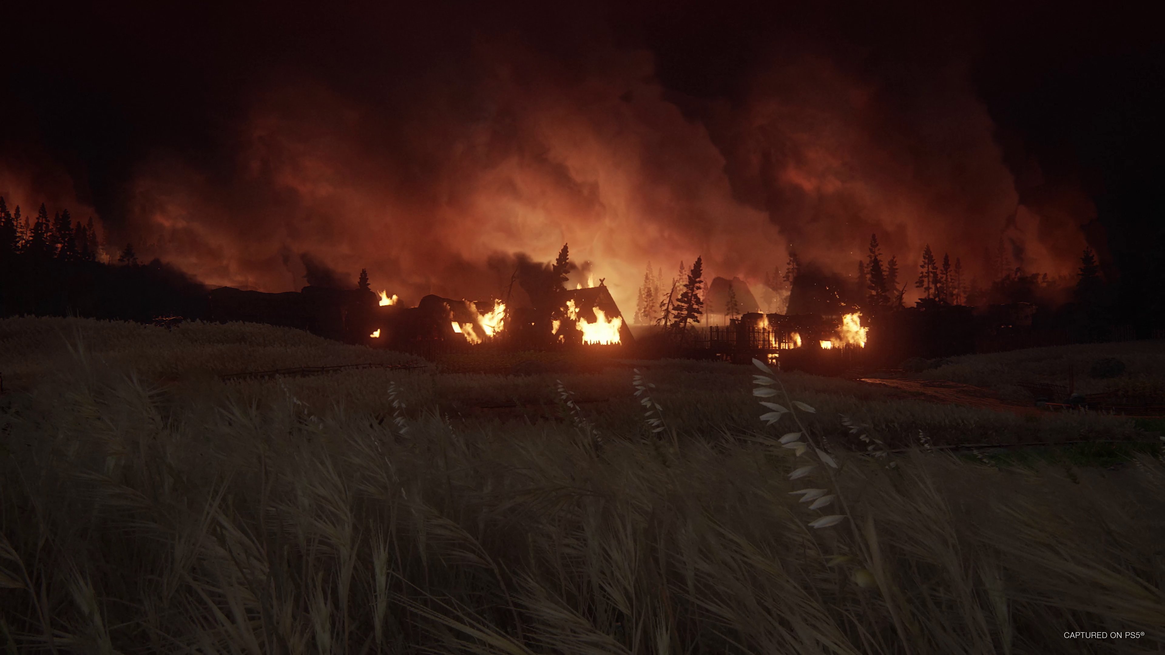 The Last of Us: Parte II Remastered - Imagen 15